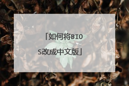 如何将BIOS改成中文版