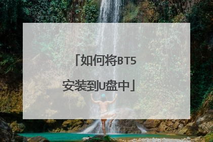 如何将BT5安装到U盘中