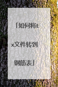 如何将Ex文件转到钢筋表