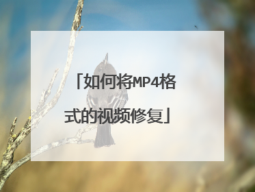 如何将MP4格式的视频修复