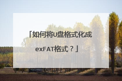 如何将U盘格式化成exFAT格式?