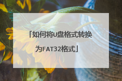如何将U盘格式转换为FAT32格式