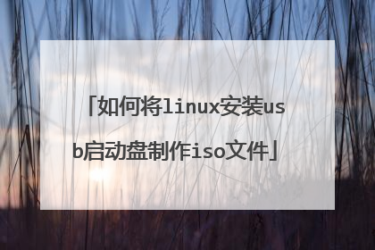 如何将linux安装usb启动盘制作iso文件