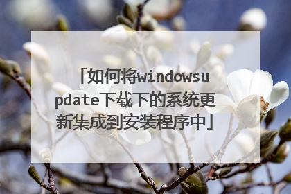 如何将windowsupdate下载下的系统更新集成到安装程序中