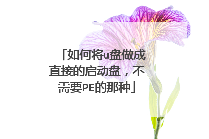 如何将u盘做成直接的启动盘,不需要PE的那种