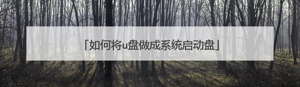 如何将u盘做成系统启动盘