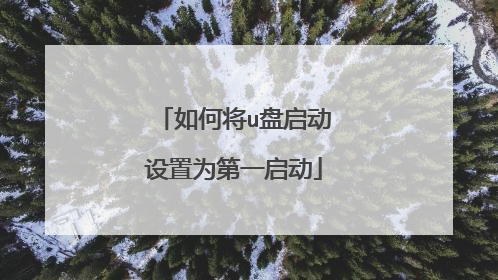 如何将u盘启动设置为第一启动