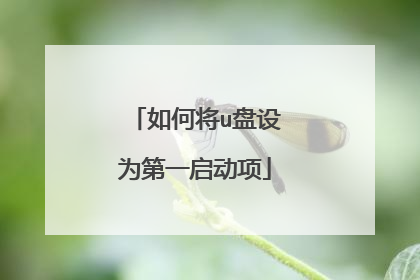 如何将u盘设为第一启动项