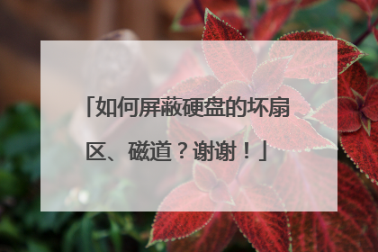 如何屏蔽硬盘的坏扇区、磁道?谢谢!