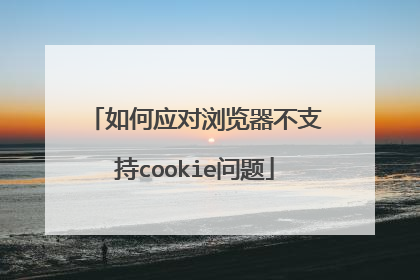 如何应对浏览器不支持cookie问题