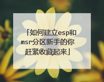 如何建立esp和msr分区新手的你赶紧收藏起来
