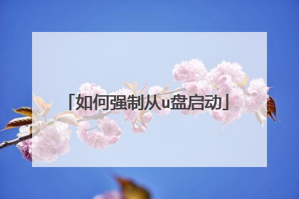 如何强制从u盘启动