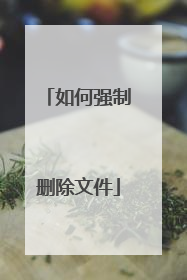 如何强制删除文件