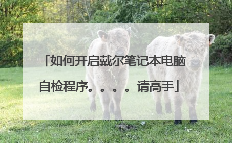 如何开启戴尔笔记本电脑自检程序。。。。请高手