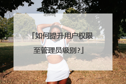 如何提升用户权限至管理员级别?