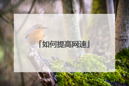 如何提高网速