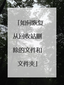 如何恢复从回收站删除的文件和文件夹