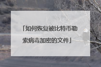 如何恢复被比特币勒索病毒加密的文件
