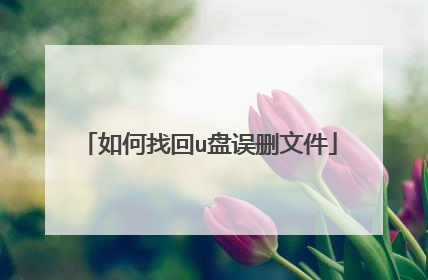 如何找回u盘误删文件
