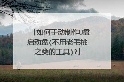 如何手动制作U盘启动盘(不用老毛桃之类的工具)?