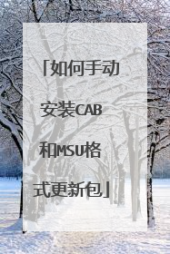 如何手动安装CAB和MSU格式更新包