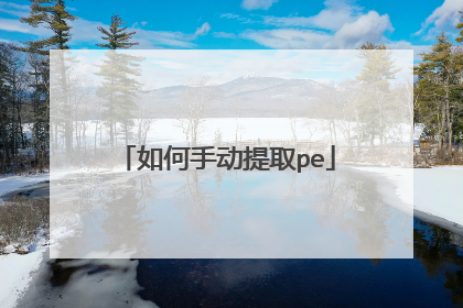 如何手动提取pe