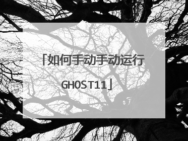 如何手动手动运行GHOST11