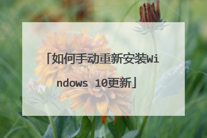 如何手动重新安装Windows 10更新