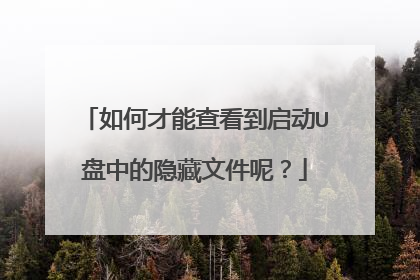 如何才能查看到启动U盘中的隐藏文件呢?