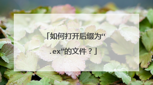 如何打开后缀为“.ex”的文件?