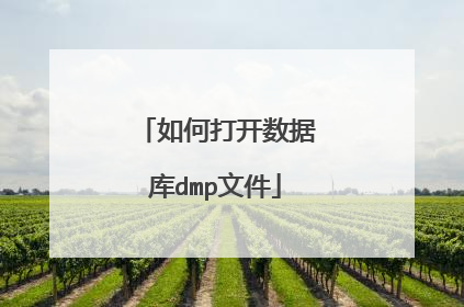 如何打开数据库dmp文件