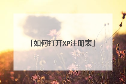 如何打开XP注册表