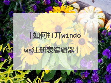 如何打开windows注册表编辑器