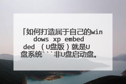如何打造属于自己的windows xp embedded （U盘版）就是U 盘系统```非U盘启动盘。你们是怎么做的呢？