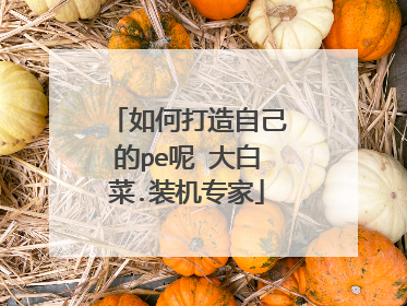 如何打造自己的pe呢 大白菜.装机专家
