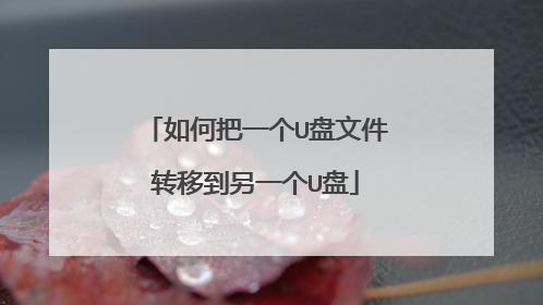 如何把一个U盘文件转移到另一个U盘
