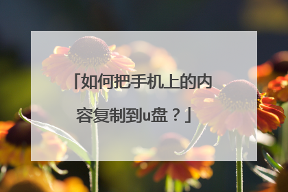 如何把手机上的内容复制到u盘?