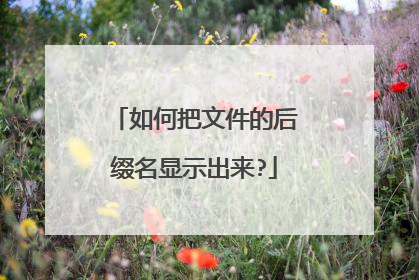如何把文件的后缀名显示出来?