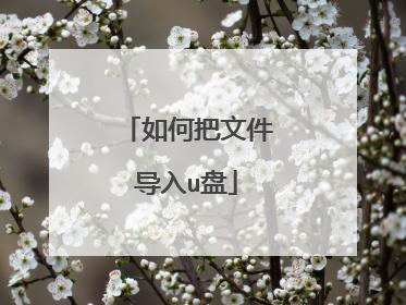 如何把文件导入u盘