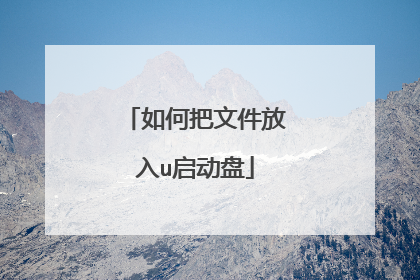 如何把文件放入u启动盘