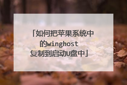 如何把苹果系统中的winghost复制到启动U盘中