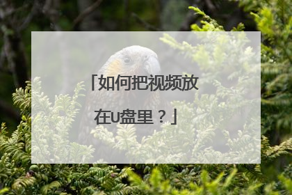 如何把视频放在U盘里？