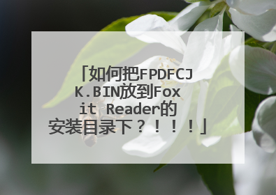 如何把FPDFCJK.BIN放到Foxit Reader的安装目录下?!!!