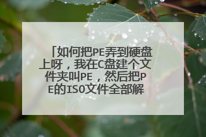 如何把PE弄到硬盘上呀,我在C盘建个文件夹叫PE,然后把PE的ISO文件全部解压到这个文件夹里