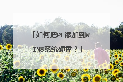 如何把PE添加到WIN8系统硬盘？