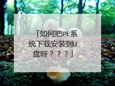 如何把PE系统下载安装到U盘呀???