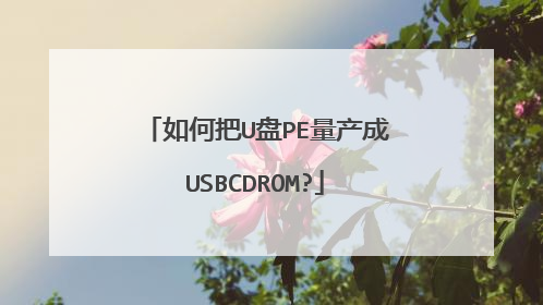 如何把U盘PE量产成USBCDROM?