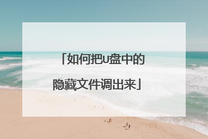 如何把U盘中的隐藏文件调出来
