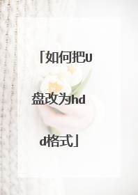 如何把U盘改为hdd格式
