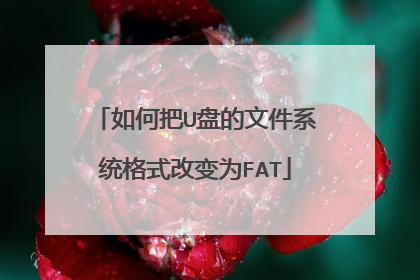 如何把U盘的文件系统格式改变为FAT